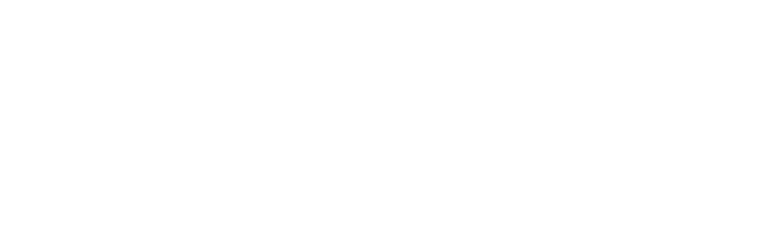 logo_promo_white